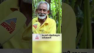 എണ്‍പതാം വയസിലും പറമ്പില്‍ പൊന്നുവിളയിക്കുന്ന കര്‍ഷകന്‍