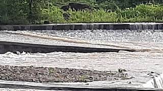 water in river after 1 year in valappady, Salem