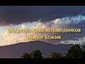 М. А. Новоселов. По поводу Послания Синода Исповедники имени Божия