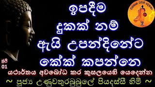 ඉපදීම දුකක් නම් ඇයි උපන්දිනේට කේක් කපන්නෙ ? | @wassanadarmadeshana9842