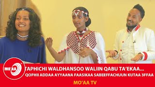 TAPHICHI NAMA WALDHAANSOO WALIIN QABU CAALEEKAA/QOPHII ADDAA