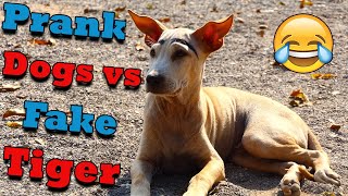 Cute Dog Vs Fake Tiger Prank So Funny Comedy Video _ Try Not To Laugh Funny Animals Video 2021