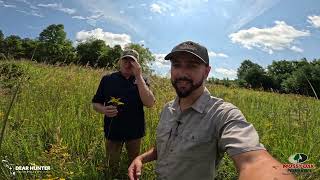 Old Field Management - Creating Cover That Equals Food for Wildlife!