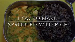 How To Make Sprouted Wild Rice