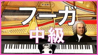 【ピアノ】フーガ平均律第2巻　７番　バッハを弾いてみた