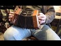 stc2 mahogany stagi concertina lm 20 $495