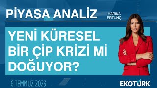 Yeni küresel bir çip krizi mi doğuyor? | Harika Ertunç | Piyasa Analiz