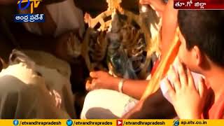 Sri Lakshmi narasimha Swamy Kalyana utsavam Held in | Antarvedi of East Godavari Dist