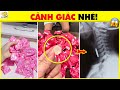 Xé Túi Mù Labubu Nước, Túi Mù Capyabra, Túi Mù Kuromi Thích Mê Nhưng Có Tác Hại Gì Không | Nhanh Trí