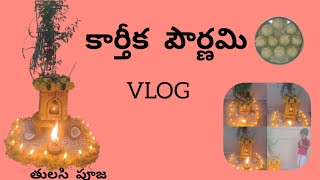 కార్తీక పౌర్ణమి vlog ll తులసి పూజ🪔🌸