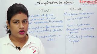 CLASS 10 Respiration in Animals Life Process 9 Respiratory Organ Difference Plant Animal Respiration