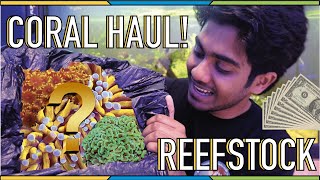 MASSIVE CORAL HAUL From REEFSTOCK 2022 UNBOXING - *GOLD TORCH*