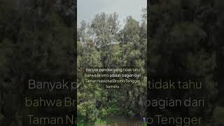 Gunung Bromo: Keindahan di Tengah Pasir Berbisik part 1 #ai #bromo