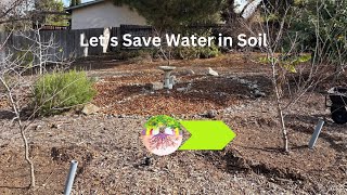 Simple ways to conduct rainwater into the soil near young trees!