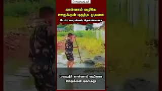 கால்வாய் வழியே  ஊருக்குள் புகுந்த முதலை