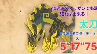 MHWI  臨界ブラキ  太刀  ソロ  5’17”75                  40過ぎのオッサンでも頑張れば出来る！