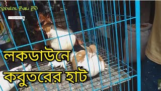 সাভার এর হাটে ফেন্সি কবুতর কিনুন সবচেয়ে কম দামেBuy Fensi Pigeons at the lowest price in Savar market