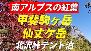 甲斐駒ヶ岳・仙丈ケ岳 南アルプスの紅葉 雷鳥との出会い 北沢峠 長衛小屋 テント泊 山頂の絶景は必見 富士山 北岳 間ノ岳 北アルプス 中央アルプス 御嶽山 乗鞍岳 八ヶ岳