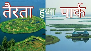 Floating park | लोकटक झील मणिपुर भारत | Loktak lake | Loktak jheel | Loktak jhil | केबुल लामजाओ |