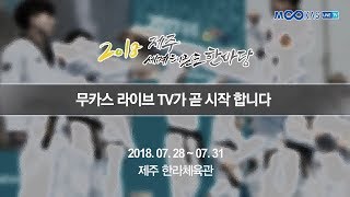 [MOOKAS LIVE TV] 2018 제주세계태권도한마당 - 대회 4일차