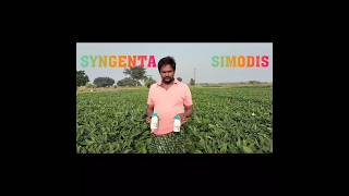 #simodis#syngenta #blackgram #ytshortsvideo #ytshorts #supportmychannel #live #shorts