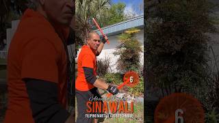 Sinawali 12 Redonda Abaniko Strike Variation Filipino Martial Arts double weapons tutorial FMA