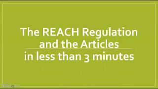 The REACH Regulation and the Articles