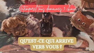 ✨ Qu'est-ce qui arrive vers vous ? Guidance, ressentis et conseils 3 choix I INTEMPOREL 🐈😽🐾