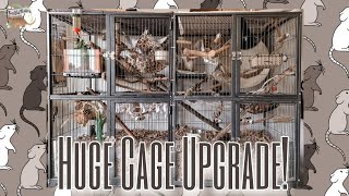 I finally UPGRADED🥳 my RATS'🐀 CAGE | Rat Cage Tour!