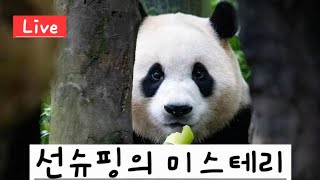 (Live) 선슈핑 미스테리, 사라진 쉬샹..