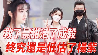 救了景甜活了成毅，可大家終究還是“低估”了楊紫！|景甜|成毅|楊紫|娛樂快報|