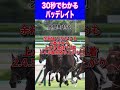 【神戸新聞杯2024】30秒でわかるバッデレイト