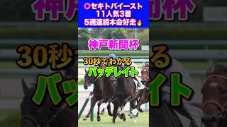 【神戸新聞杯2024】30秒でわかるバッデレイト