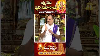 లక్ష్మీదేవి స్థిర నివాసాలు ఏంటో తెలుసా....? | Mana Dharmam | ETV Life Spiritual