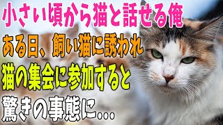 【猫の不思議な話】小さい頃から猫と話せる俺→飼い猫に誘われて猫の集会に参加してみると、そこでは驚きの会話が行われていた…。【朗読】