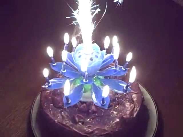 Flower Birthday Candle That Opens Best Flower Site