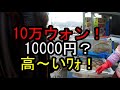 釜山のチャガルチ市場を散策　海鮮料理の交渉をしたが失敗！残念な結果に