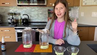 Cloud Seeding Experiment for Science Fair