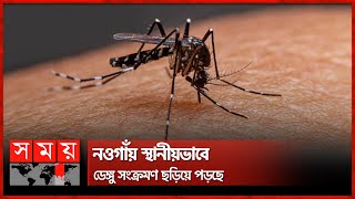 অবনতির দিকে যশোরের ডেঙ্গু পরিস্থিতি | Dengue Update | Jashore | Naogaon | Somoy TV