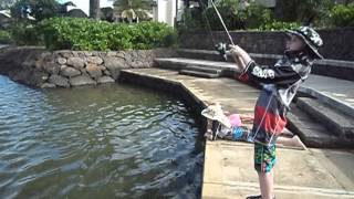 big ombrine fishing