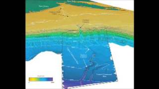 Mapping the Hudson Canyon -- Crucible of Life
