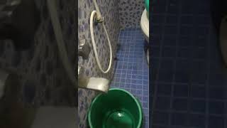 ANIL KUTTY AT BATHROOM #anil  #animals #trend #bathroom #viralshort #reels #mostpopular #shocking