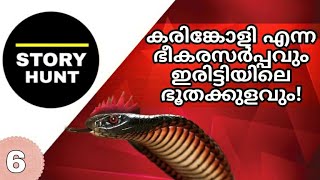 KARINKOLI SNAKE, കരിങ്കോളി പാമ്പ്‌ | STORY HUNT