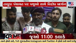 Maldhari community protests at Taluka Panchayat, opposing encroachment | Botad | TV9Gujarati