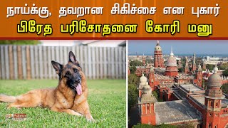 தவறான சிகிச்சையால் உயிரிழந்த நாய்க்கு, பிரேத பரிசோதனை கோரி மனு