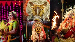 Sri Varthe Panjurli Parivara Daivagala Kolaseve | ಶ್ರೀ ವರ್ತೆ ಪಂಜುರ್ಲಿ ಹಾಗು ಪರಿವಾರ ದೈವಗಳ ಕೋಲಸೇವೆ |