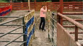 [Johnny Knoxville] Jackass 3 (2010) - Can't Roller Skate In A Buffalo Herd [HD]