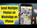 How to Send Multiple Photos on WhatsApp for iPhone (2026)