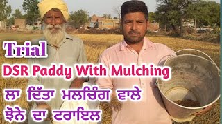 ਮਲਚਿੰਗ ਵਾਲੇ ਝੋਨੇ ਦਾ ਟਰਾਇਲ। DSR With Mulching Trial