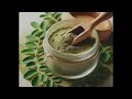 ನುಗ್ಗೆ ಸೊಪ್ಪಿನ ಪೌಡರ್ ಔಷದಿಗಳ ಖಜಾನೆ how to make moringa powder at home drumstick leaves powder